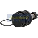 Gelenk - Radaufhängung Toyota P. Land Cruiser 98-07 DÓ BJ-235 Gelenk - Radaufhängung Toyota P. Land Cruiser 98-07 DÓ BJ-235