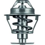 Thermostateinsatz mit Dichtung TX 81 89D Thermostateinsatz mit Dichtung TX 81 89D