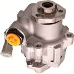 Servopumpe Vw T496 48-0066 Servopumpe Vw T496 48-0066