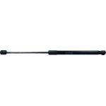 Gasfeder, HS L 445 220N 779623 Gasfeder, HS L 445 220N 779623