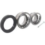 SKF Radlagersatz VKBA 504