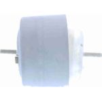 Vaico Motorlager V10-8240 Vaico Motorlager V10-8240