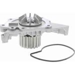 Vaico Wasserpumpe / Kühlmittelpumpe V42-50000 Vaico Wasserpumpe / Kühlmittelpumpe V42-50000