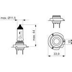H18 12V 65W PURE LIGHT 1987302091 H18 12V 65W PURE LIGHT 1987302091