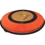 Filtron Luftfilter AP 123