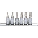 KS TOOLS 1/4 Bit-Steckschlüsselsatz, XZN-Profil, 6-teilig, M4-M10 911.1547 KS TOOLS 1/4 Bit-Steckschlüsselsatz, XZN-Profil, 6-teilig, M4-M10 911.1547