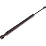 Gasfeder, Koffer-/Laderaum 12-0232