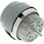 V10-1677 Vaico Motorlager V10-1677 V10-1677 Vaico Motorlager V10-1677