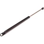 Gasfeder, Koffer-/Laderaum 12-0074 Gasfeder, Koffer-/Laderaum 12-0074