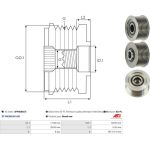 AS-PL Freilauf AFP5004(V) AS-PL Freilauf AFP5004(V)