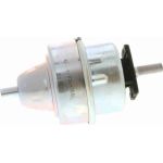 Vaico Motorlager V20-1559 Vaico Motorlager V20-1559