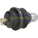 Gelenk - Radaufhängung Nissan P. Navara/Pathfinder 2.5/3.0Dci 05- Lower Le/Pr BJ-136 Gelenk - Radaufhängung Nissan P. Navara/Pathfinder 2.5/3.0Dci 05- Lower Le/Pr BJ-136