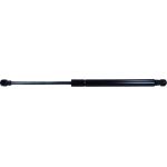 Gasfeder, Koffer-/Laderaum 2409100029