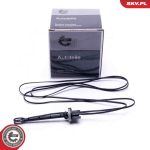 ESEN SKV Sensor, Ansauglufttemperatur 17SKV612