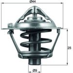 Thermostateinsatz mit Dichtung TX 113 82D Thermostateinsatz mit Dichtung TX 113 82D