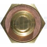 DELPHI Temperatursensor TS10250