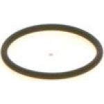 O-Ring 1410257042 O-Ring 1410257042