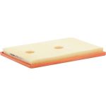 FILTRON Luftfilter AP 062/1 FILTRON Luftfilter AP 062/1