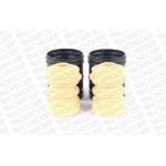 PK417 Monroe Stoßdämpfer-Staubschutzsatz PK417 – Hinterachse beidseitig PK417 Monroe Stoßdämpfer-Staubschutzsatz PK417 – Hinterachse beidseitig