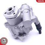 SKV GERMANY Hydraulikpumpe 10SKV256 SKV GERMANY Hydraulikpumpe 10SKV256