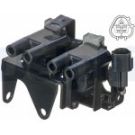 Delphi Zündspule GN10531-12B1 Delphi Zündspule GN10531-12B1
