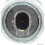 Herth+Buss Jakoparts Klopfsensor J5674001