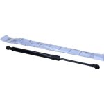 MAXGEAR Heckscheiben-Gasfeder 12-2007 39417