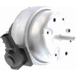 Vaico Motorlager V10-1278
