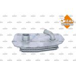 NRF Ölkühler, Motoröl 31352 NRF Ölkühler, Motoröl 31352