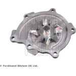BLUE PRINT Wasserpumpe / Kühlmittelpumpe ADC49171