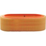 FILTRON Luftfilter AR 225