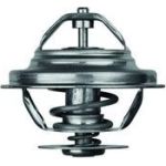 Thermostateinsatz mit Dichtung TX 20 80D Thermostateinsatz mit Dichtung TX 20 80D