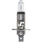 13258MLC1 PHILIPS H1 Halogenlampe MasterLife 24 V 70 W P14,5s, 1 Stück - 13258MLC1 - l 13258MLC1 PHILIPS H1 Halogenlampe MasterLife 24 V 70 W P14,5s, 1 Stück - 13258MLC1 - l