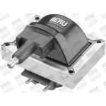BorgWarner (BERU) Zündspule ZS316