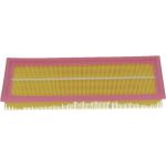 CAF100502P Champion Luftfilter CAF100502P CAF100502P Champion Luftfilter CAF100502P