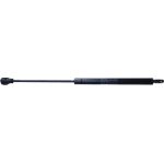 Gasfeder, HS L 309 255N 204116 Gasfeder, HS L 309 255N 204116