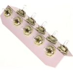 170543000 NARVA Instrumentenlampe 12 V 2 W BAX8,4d, Sockel hellgrün, ohne ECE-Zulassung - 170543000 - l 170543000 NARVA Instrumentenlampe 12 V 2 W BAX8,4d, Sockel hellgrün, ohne ECE-Zulassung - 170543000 - l