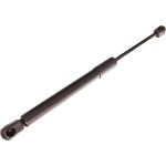 Gasfeder, Koffer-/Laderaum 12-0186 Gasfeder, Koffer-/Laderaum 12-0186