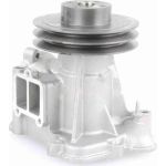 Vaico Wasserpumpe / Kühlmittelpumpe V30-50004