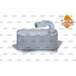NRF Ölkühler, Motoröl 31341 NRF Ölkühler, Motoröl 31341