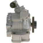 Bosch Servopumpe K S00 000 629 Bosch Servopumpe K S00 000 629
