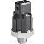 Valeo Klopfsensor 255400 Valeo Klopfsensor 255400