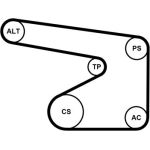 Continental CTAM Timing-Kit 5PK1355WP2