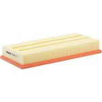 FILTRON Luftfilter AP 004/3