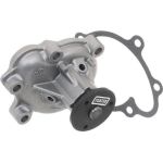 SKF Wasserpumpe VKPC 85300