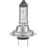 HELLA Glühlampe, Nebelscheinwerfer 8GH 007 157-121 HELLA Glühlampe, Nebelscheinwerfer 8GH 007 157-121
