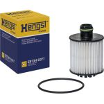 E873H D377 Hengst Ölfilter E873H D377 E873H D377 Hengst Ölfilter E873H D377