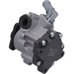 KAMOKA Hydraulikpumpe, Lenkung PP029 KAMOKA Hydraulikpumpe, Lenkung PP029