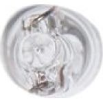 1987302208 Bosch 12V 1,2W PURE LIGHT W2x4,6d 1987302208