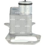 NRF Ölkühler, Motoröl 31775 NRF Ölkühler, Motoröl 31775